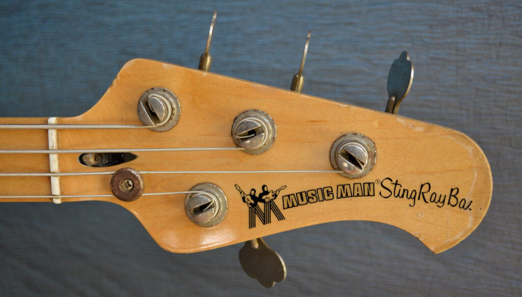 paletta music man stingray