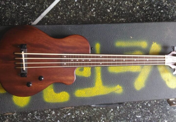 Recensione Gold Tone ME-Bass