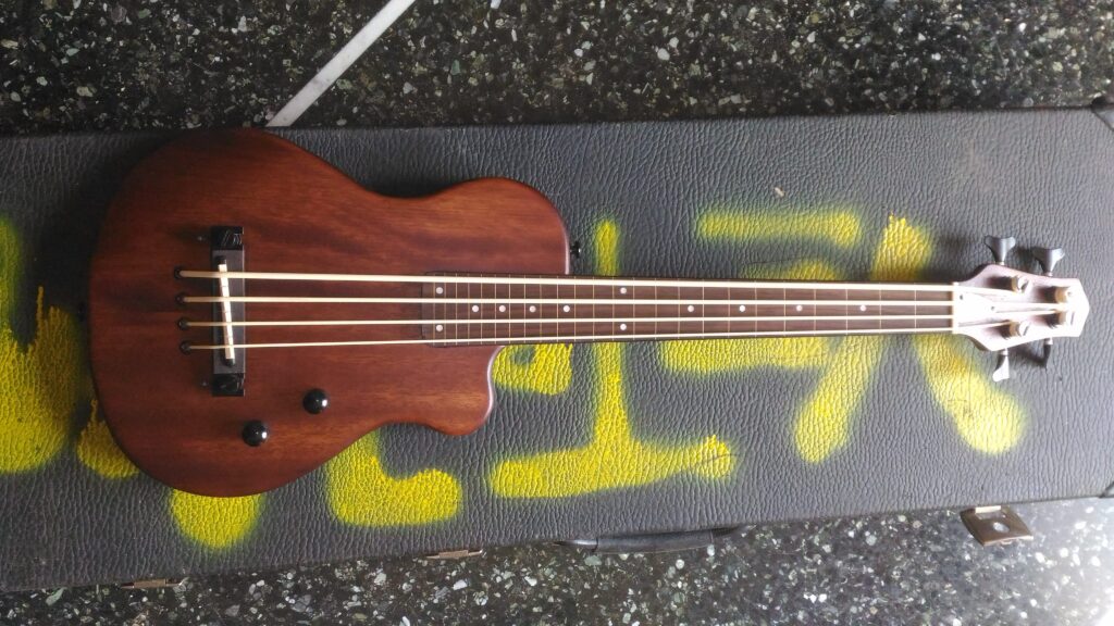 Vista frontale Gold Tone ME-Bass
