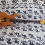 Recensione Aria Pro II SB-RI (SB-1000 reissue)