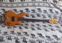 Recensione Aria Pro II SB-RI (SB-1000 reissue)