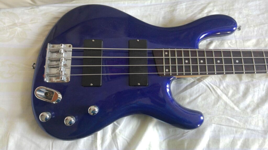 Vista frontale body Ibanez EDB300