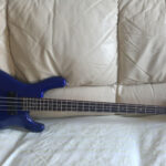 Recensione Ibanez Ergodyne EDB 300