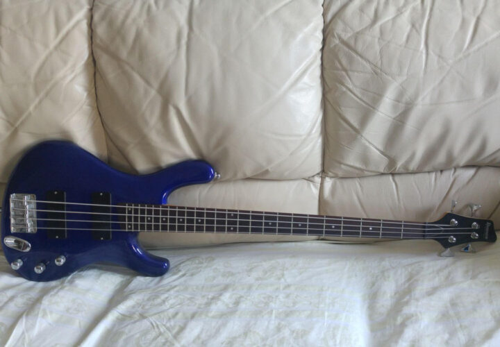 Recensione Ibanez Ergodyne EDB 300