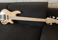 Recensione Lakland Skyline 55-02 Deluxe