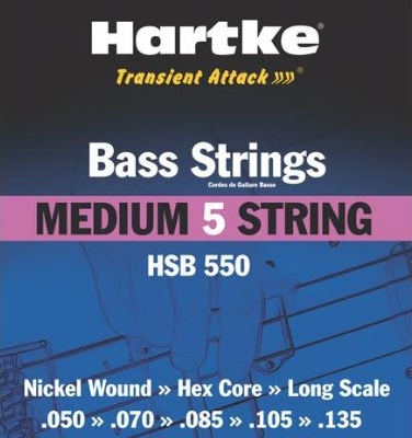Hartke HSB550