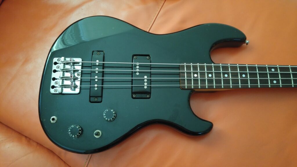 Vista frontale body Aria Pro II LEB