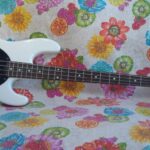 Recensione Sterling by Music Man SUB Ray4