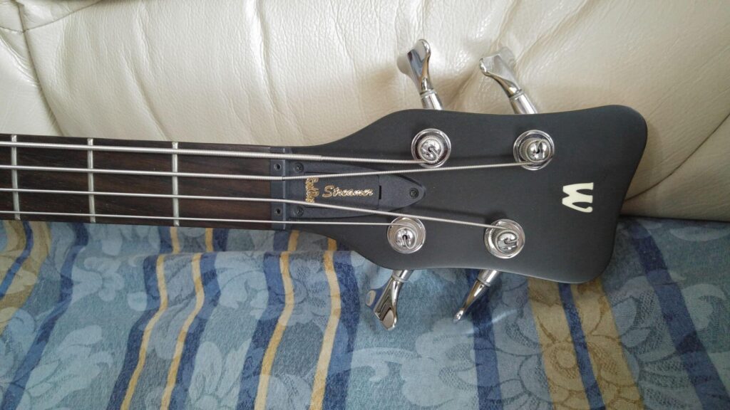 vista frontale paletta warwick rb streamer