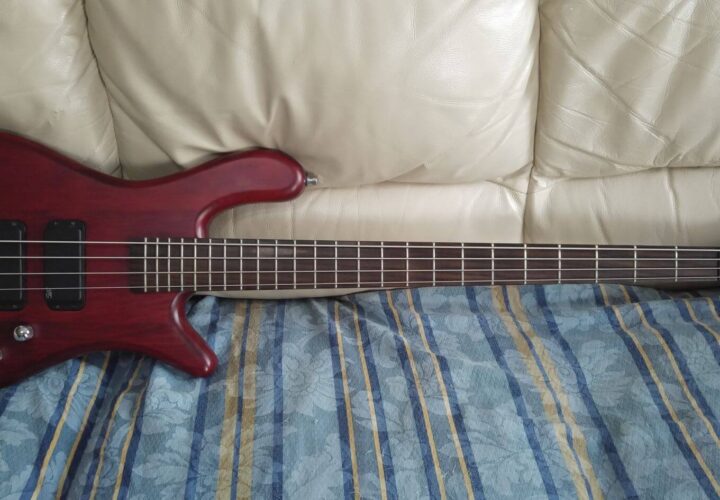 Recensione Warwick RB Streamer Standard