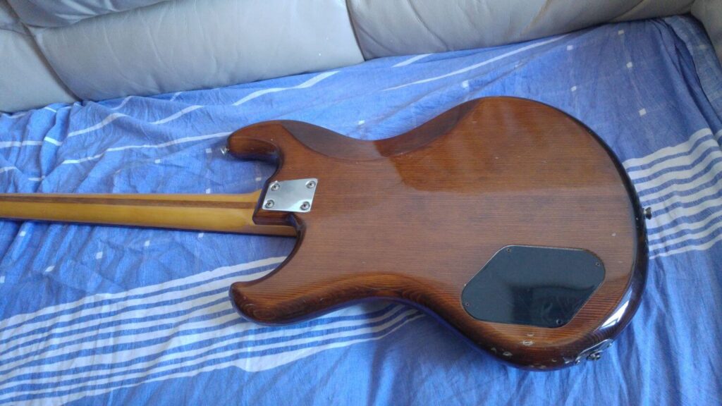 Vista posteriore body Eko B55