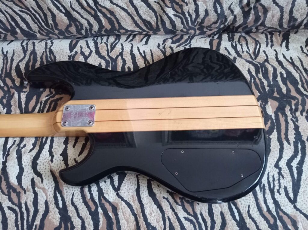 Vista posteriore body Aria Pro II TSB-400 Thor Sound