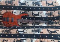 Recensione Peavey Millennium AC BXP 4